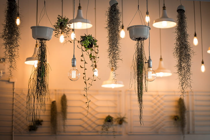 architecture-decoration-depth-of-field-hanging-preview Storm Damage